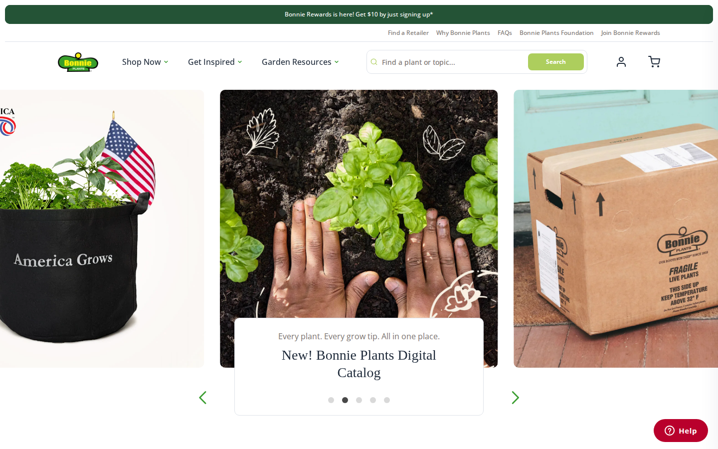 Bonnie Plants